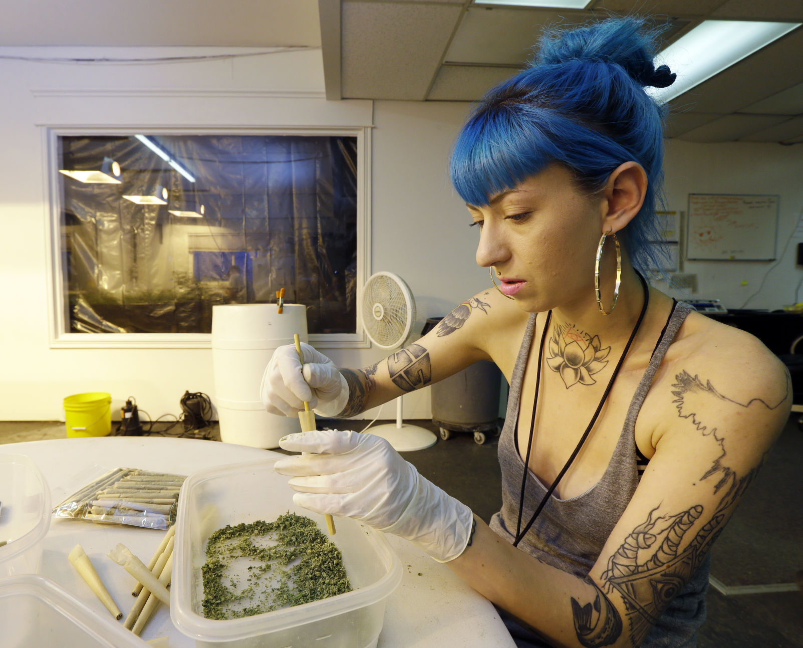 2014: Marijuana Licenses